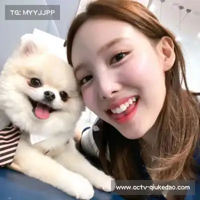 狄洁